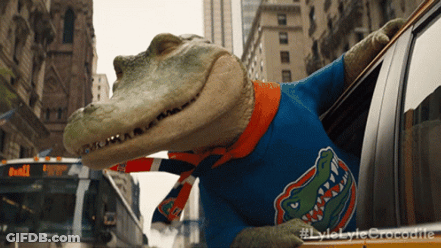 Gators Mascot In The Van GIF