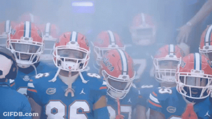Gators Team Head Protector GIF