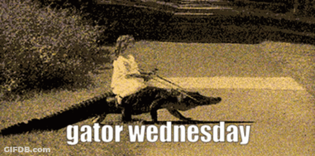 Gators Wednesday In The Road GIF