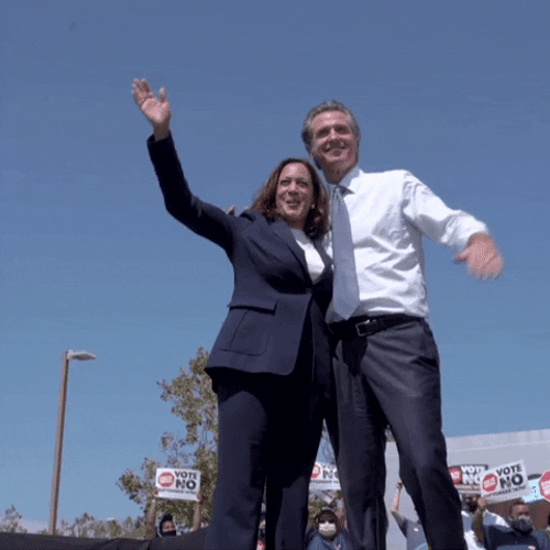 Gavin Newsom And Kamala Harris No Vote GIF