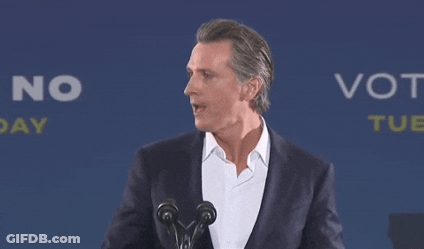 Gavin Newsom California Day GIF