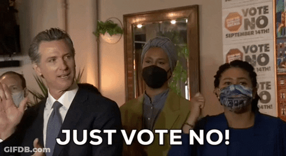 Gavin Newsom Just Vote No GIF