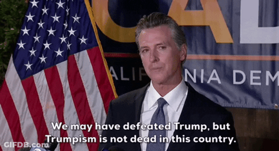 Gavin Newsom May You Defeated Trump GIF