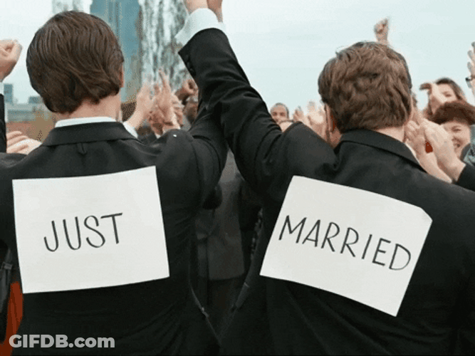 Gay Couple Just Married GIF