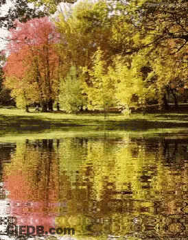 Gazebo Surrounded By Flowers And Trees GIF