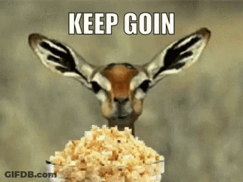Gazelle Eating Popcorn Keep Goin GIF