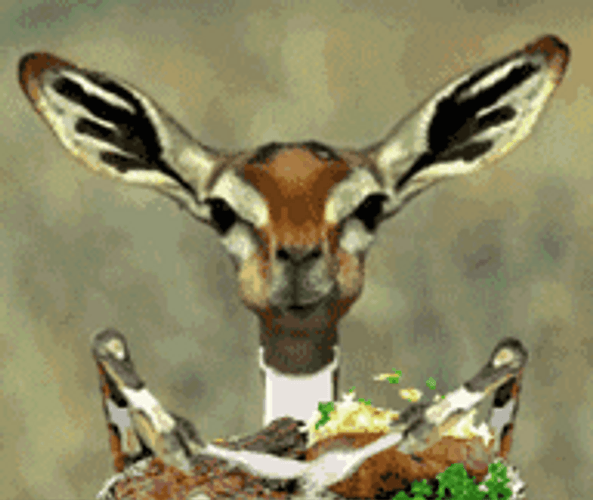 Gazelle Taking Lunch With Meat GIF