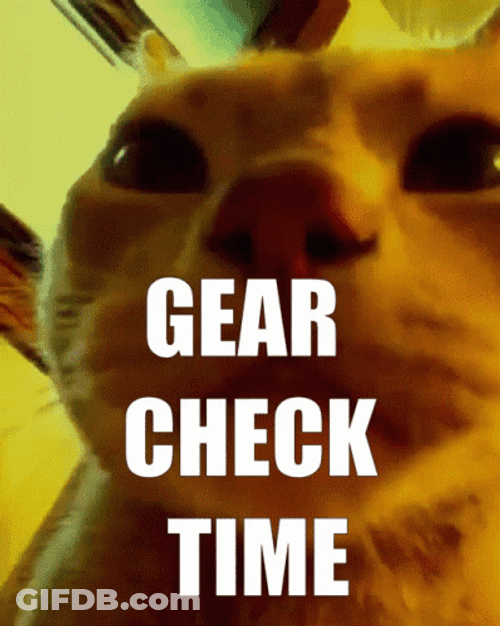 Gear Check Time Cat GIF