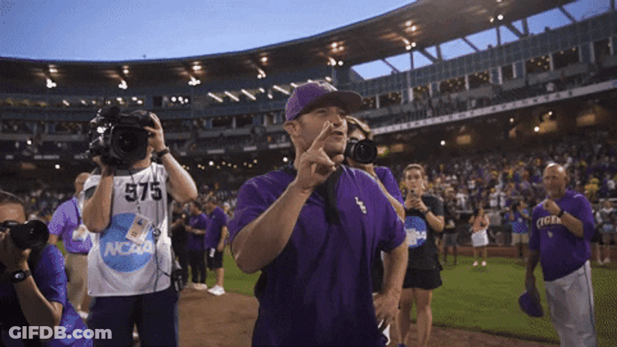 Geaux Tigers Baseball Celebratory Hug GIF