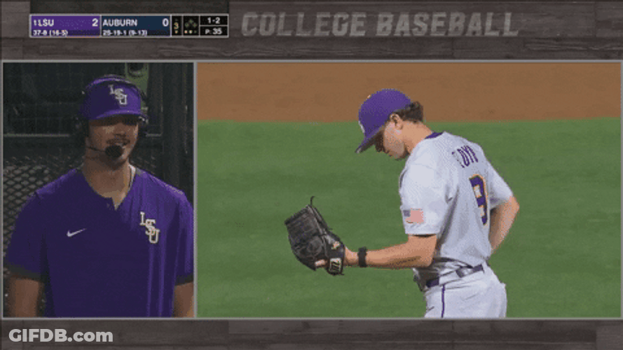 Geaux Tigers Baseball On Screen GIF