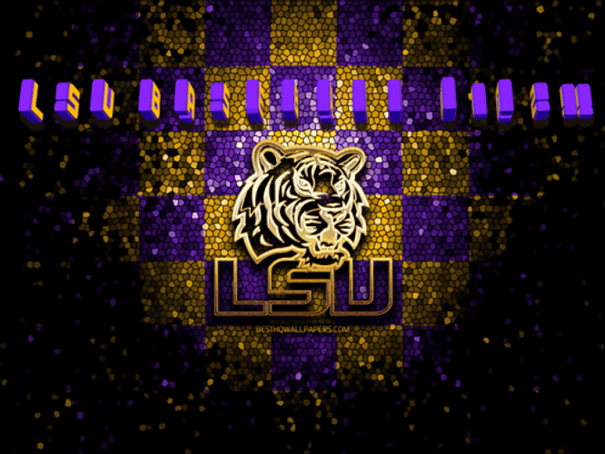Geaux Tigers Baseball Winning GIF