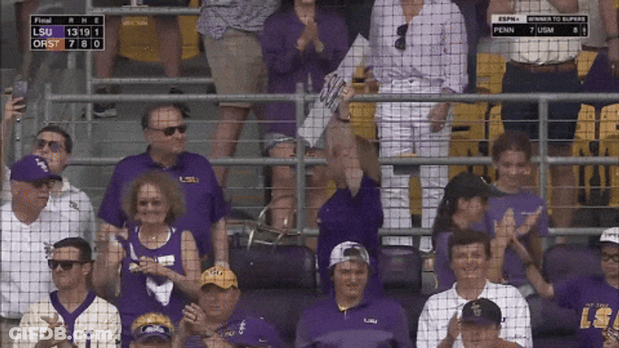 Geaux Tigers Fans Super Placard GIF