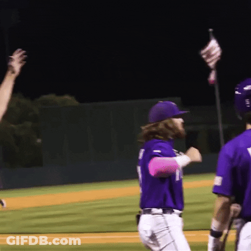 Geaux Tigers Hands Up GIF