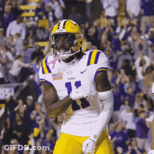 Geaux Tigers Happy Brian Thomas Jr. GIF