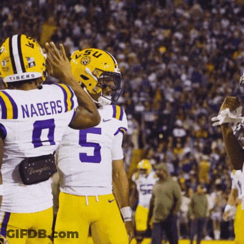 Geaux Tigers Lacy Daniels Dance GIF