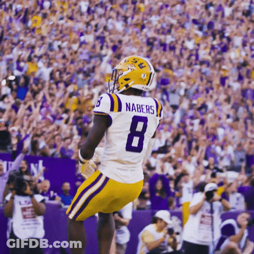 Geaux Tigers NFL Celebratory Dance GIF