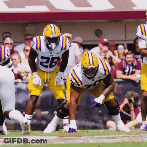 Geaux Tigers NFL Defending The Ball GIF