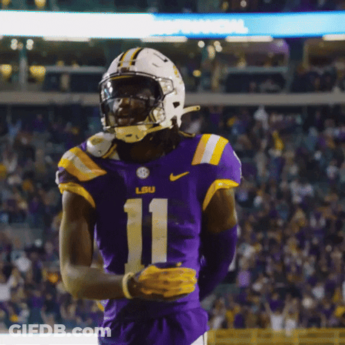 Geaux Tigers Sign Of The Cross GIF