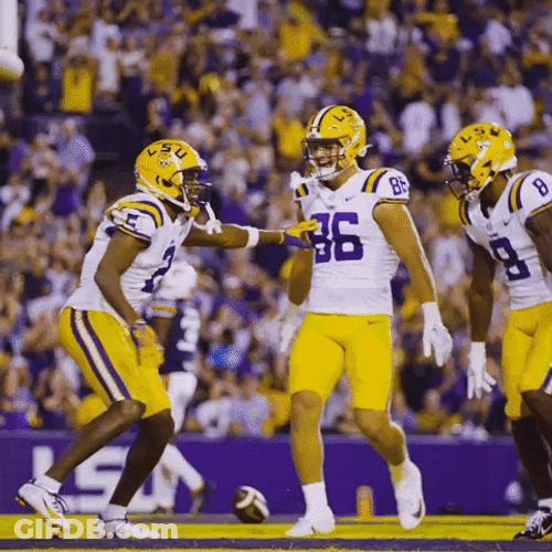 Geaux Tigers Skippy Dance NFL GIF