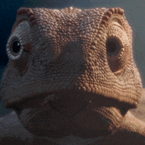 Gecko Blinking Eyes GIF