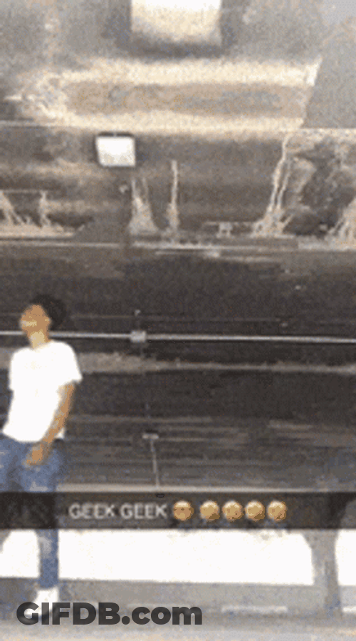 Geek Geek Boy Sturdy Dance GIF