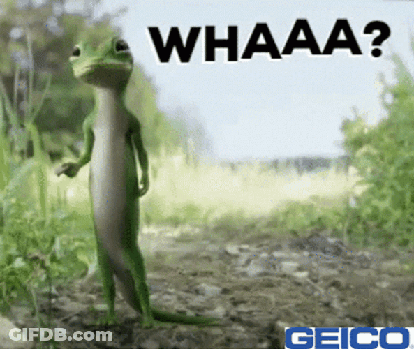 Geico Laughing Dancing Lizard GIF