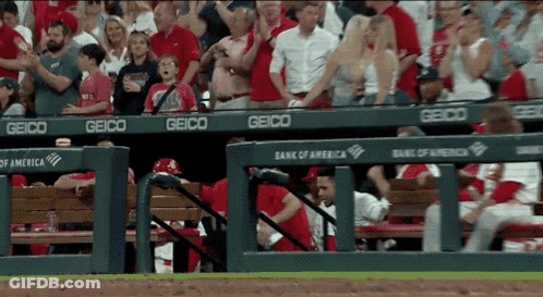 Geico Sponsored Baseball Game GIF