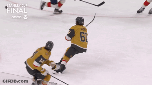 Geico Stanley Cup Final Hockey Game GIF