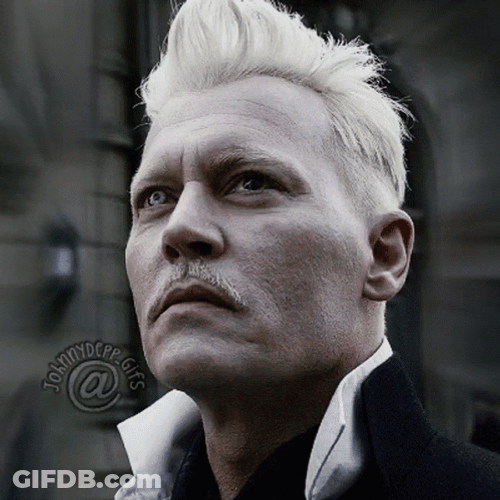 Gellert Grindelwald Stare GIF