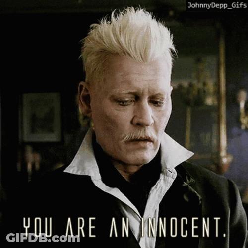 Gellert Grindelwald You Are Innocent GIF
