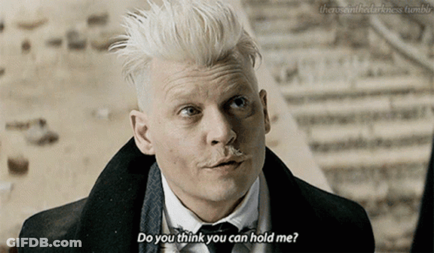 Gellert Grindelwald You Can Hold Me GIF