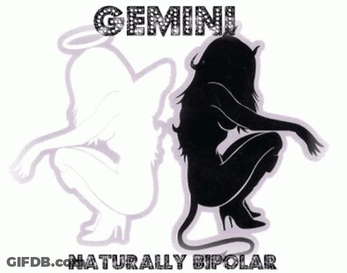 Gemini Naturally Bipolar Sign With Two Silhouettes GIF