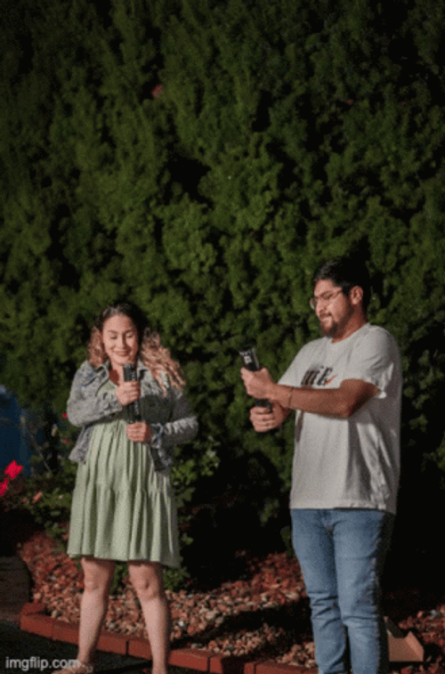 Gender Reveal Baby Shower GIF