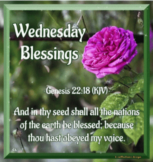 Genesis 22:18 Bible Verse Good Morning Blessings GIF