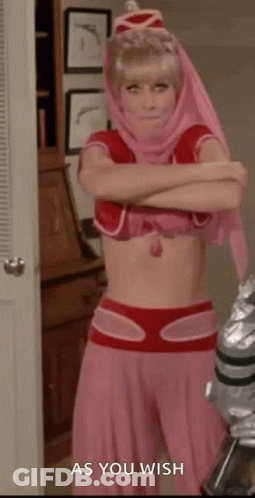 Genie As You Wish GIF