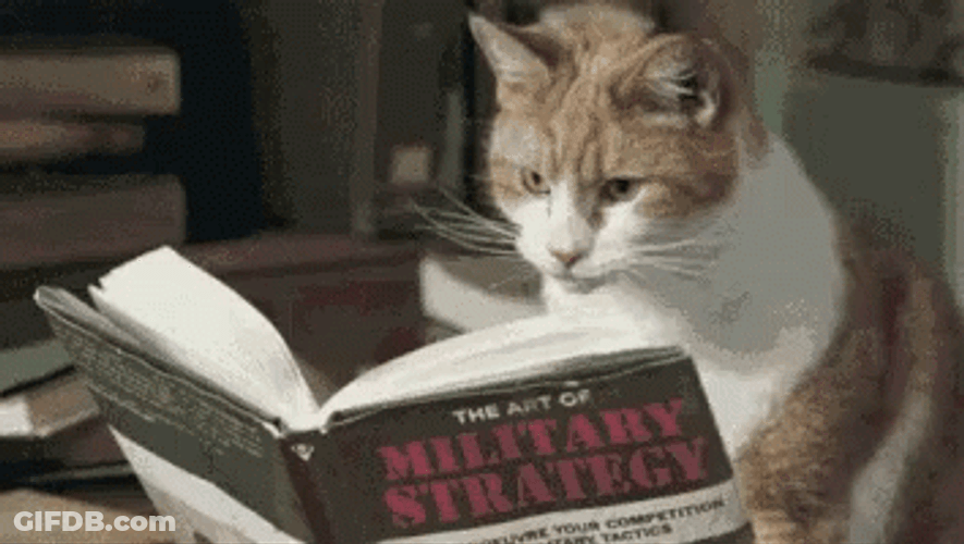 Genius Cat Study Military Strategy Book Reading GIF