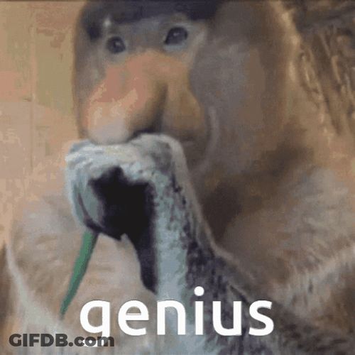 Genius Monkey Big Nose Eating Meme GIF