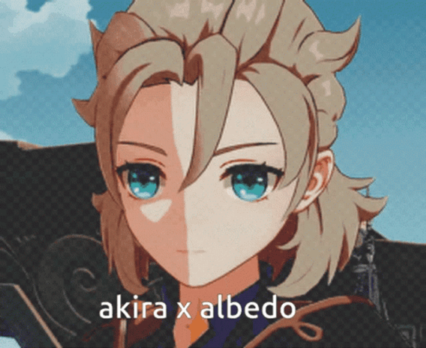 Genshin Impact Albedo Talks To Akira GIF