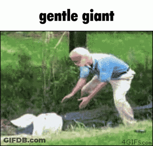 Gentle Giant Man And Dog GIF