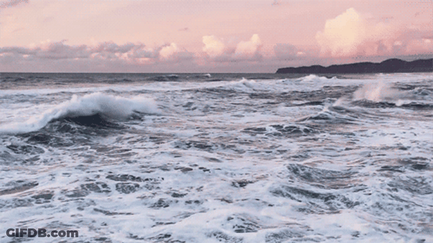 Gentle Wave On Sea Shore GIF
