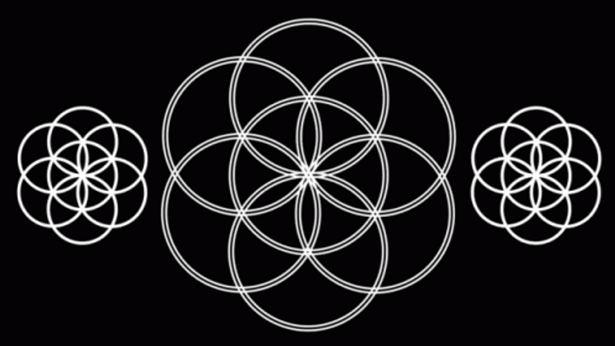 Geometric Red White Flower GIF