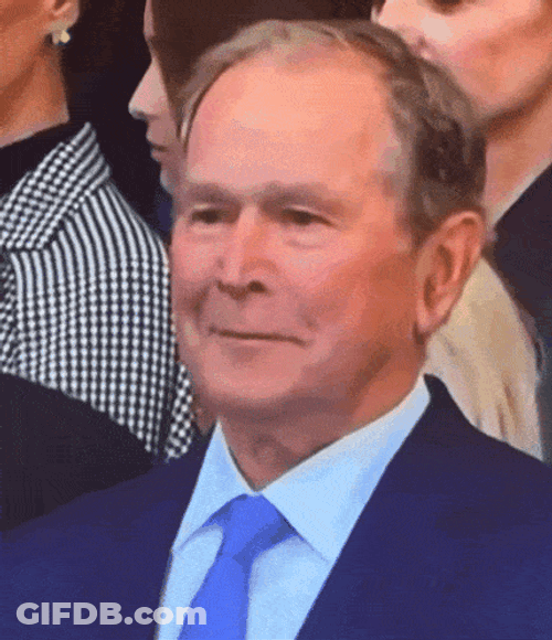 George Bush Bush Meme GIF