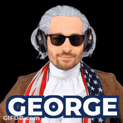 George George Washington GIF