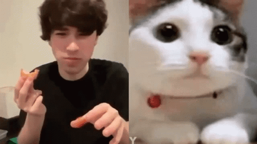George Not Found Shaking Head GIF