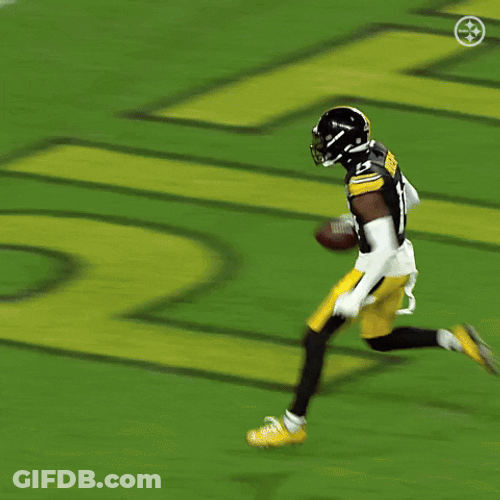 George Pickens Crowd Adoration GIF