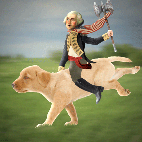 George Washington Riding Puppy Stop Motion Animation GIF