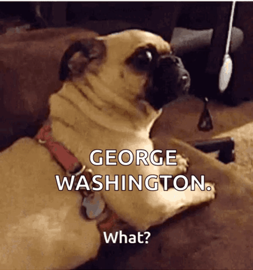 George Washington Shocked Pug What GIF