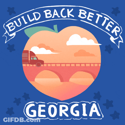 Georgia Build Back Together GIF
