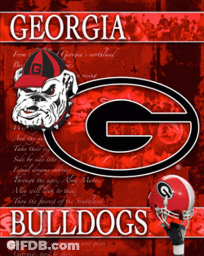 Georgia Bulldogs Bulldog In Hat GIF