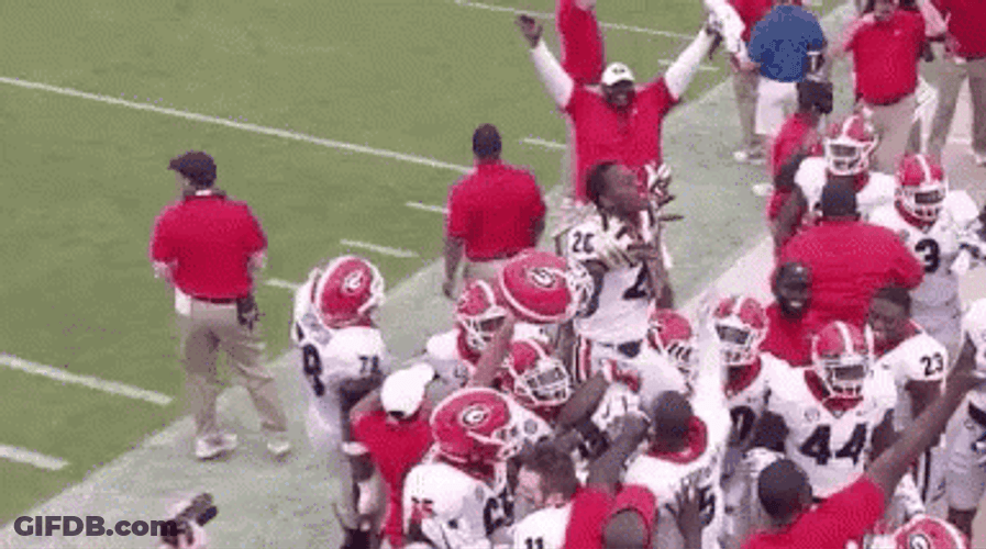 Georgia Bulldogs Cheers Celebration GIF